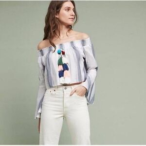 NWT Lilka Crop Top
